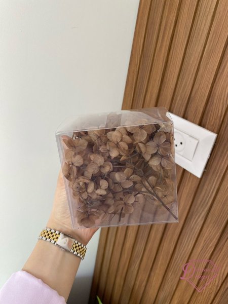 بني