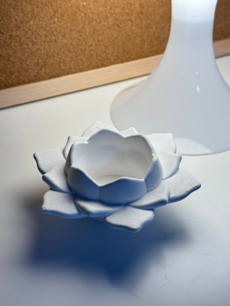 كونكرت وردة