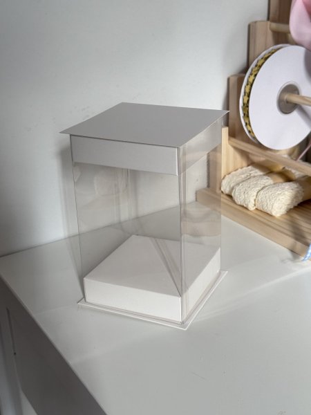 علبة مع قاعدة وغطا 3D